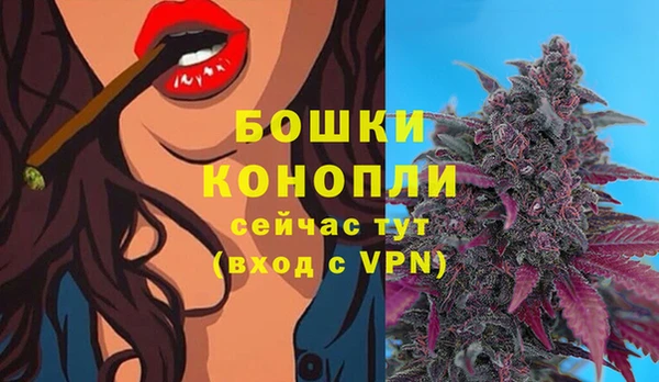 молекула духа Болотное