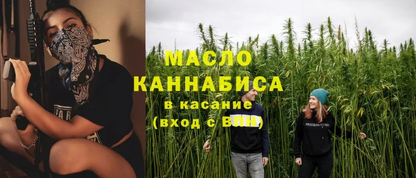 spice Богданович