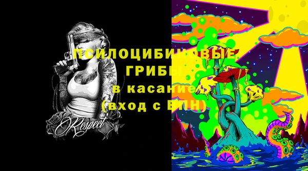 стаф Бородино