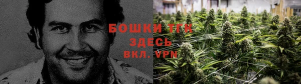 амф Богородицк